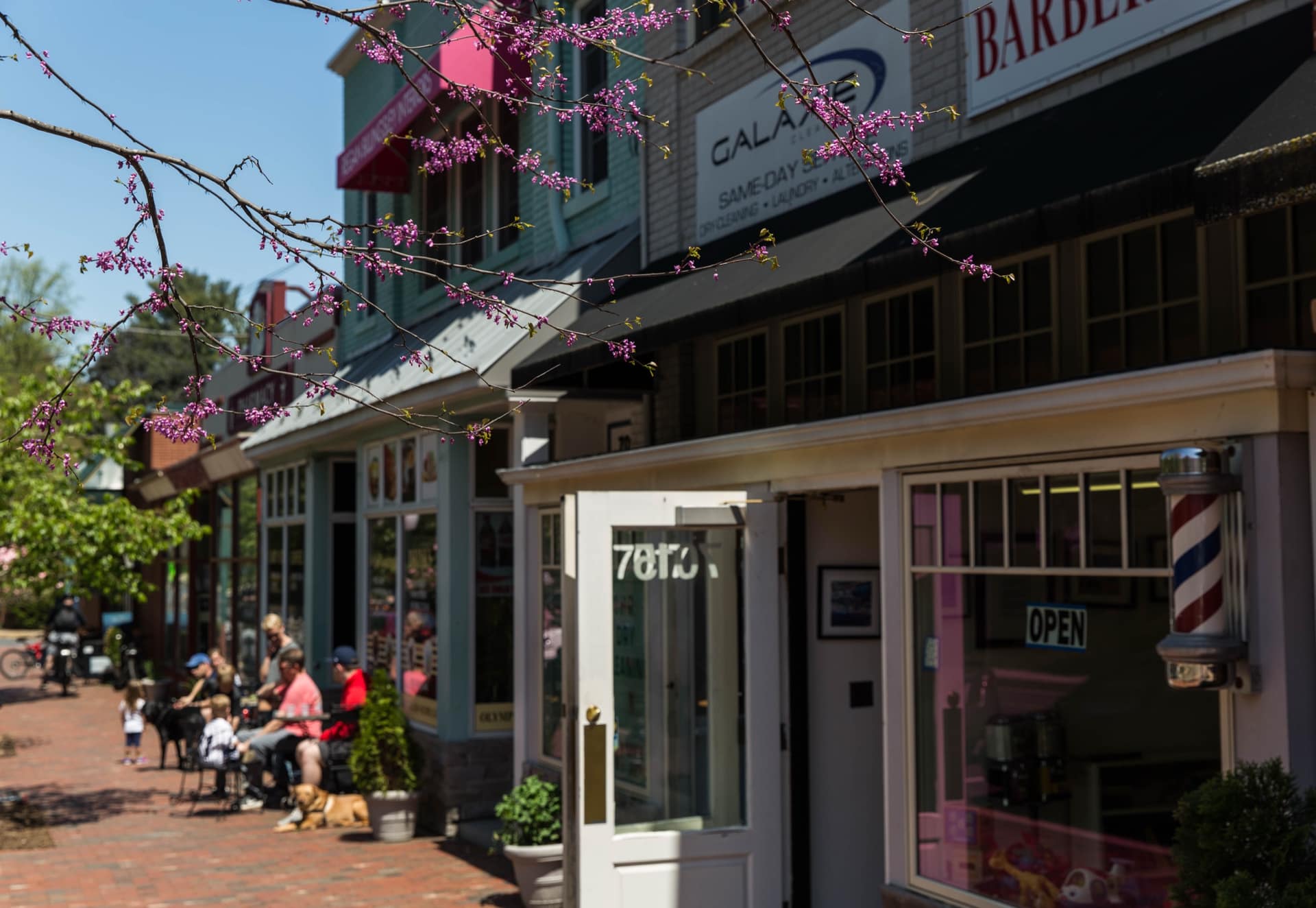 A walkable main street of local storefronts and cafés with spring blossoms in the DC metro area near Chevy Chase, MD